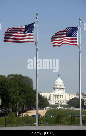 USA, Amerika, Washington D.C., amerikanische Flaggen und Capitol im Hintergrund, Stockfoto