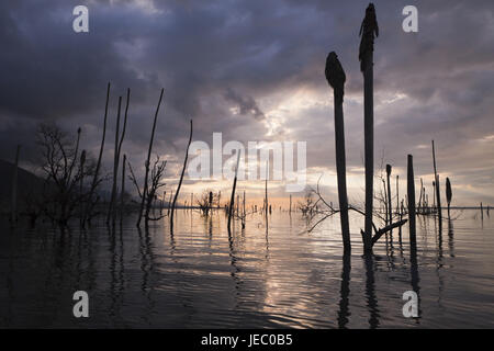 Sonnenaufgang in der salt See Lago Enriquillo, Nationalpark Isla Cabritos, der Dominikanischen Republik, Stockfoto