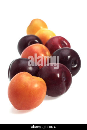 Roten Pflaumen, gelbe Pflaumen, Prunus Domestica, weißer Hintergrund, Stockfoto