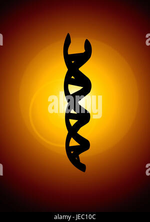 DNA-Helix Alpha Doppel-Helix, Stockfoto