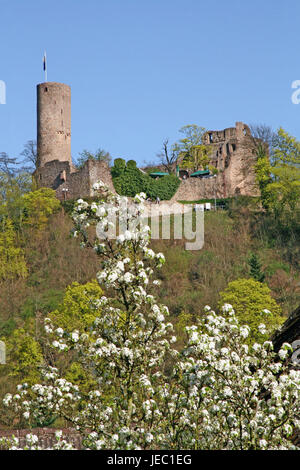 Deutschland, nach Hause, Bergstraße, Schloss Wind Ecke baut etwa 1130, Feder, von einem Baum, Blüte Stockfoto