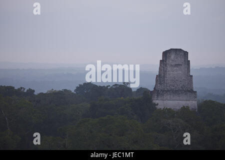 Guatemala, Tikal, Ruinen, Maya, Regenwald, keine Property-Release Stockfoto