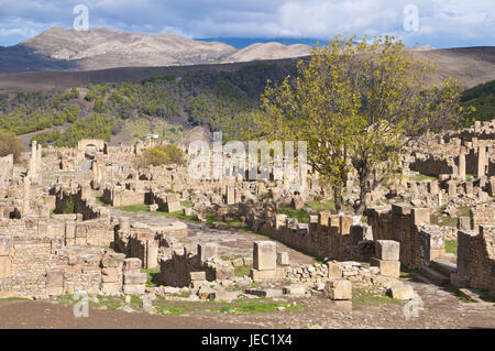 Die römischen Ruinen von Djémila, UNESCO-Weltkulturerbe, Algerien, Afrika, Stockfoto