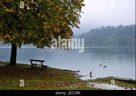 Slowenien, Region Gorenjska, Bled, Parkbank im Bleder See Stockfoto