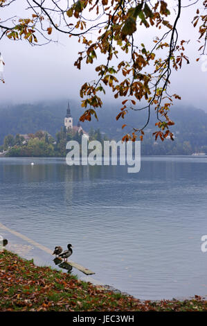 Slowenien, Region Gorenjska, Bled, Blick auf den Bleder See auf die Kirche, Stockfoto