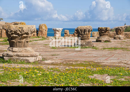 UNESCO-Weltkulturerbe die römischen Ruinen von Tipasa, Algerien, Afrika, Stockfoto