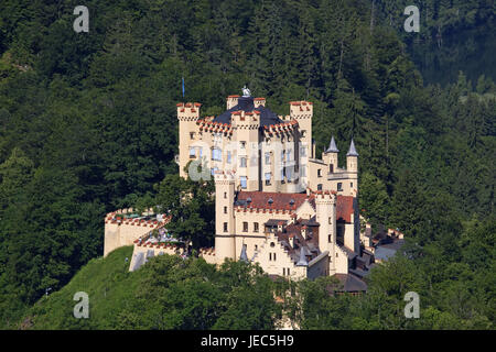 Sperren Sie hohe Schwan Region, Swans Region, mit Füßen, Allgäu, Bayern, Deutschland, Stockfoto