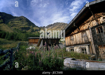 Almhütte im Pfossental, Süd Tirol, Italien, Europa, Mitteleuropa, Südeuropa, Italien, Südtirol, Pfossental, Alpen, Berg, Berge, Berge, Idylle, Abgeschiedenheit, Texelgruppe, Stahlwerke, Almhütte, Holzhaus, Haus, Alp, Stockfoto