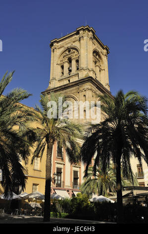 Spanien, Andalusien, Granada, Kathedrale, Plaza Romanilla, Stockfoto