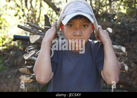 Guatemala, Cuchumatanes Berge, junge, Maya, Brennholz, sammeln, kein Model-Release Stockfoto