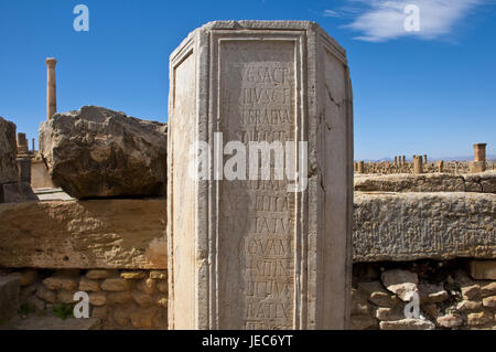 Stein-Stelen in das UNESCO-Weltkulturerbe, Ruinen die römischen Timgad, Algerien, Afrika, Stockfoto