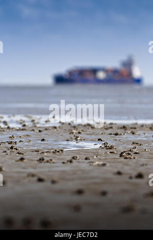 Deutschland, Cuxhaven, Elbe, Elbmündung, Watt, Watt, Behälter, Container-Schiff, Stockfoto