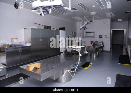 Krankenhaus, pathologisch-anatomischen Institut Prosektur, seziert breit, Medizin, Krankenhaus-Abteilung, Leichenhalle, Kühlung, Pathologie, Wissenschaft, Forschung, Autopsie, Tod, Dissektion, Patient, sterben, in letzter Zeit, dazu führen, dass der Tod, Mord, Krankheit, Untersuchung, Autopsie, Tote, Symbol, ärztliche Fehler, Ursache des Todes, Autopsie, Behandlungsfehler, Prüfung, Vergänglichkeit, forensische Medizin, Krankheit, innen, Stockfoto