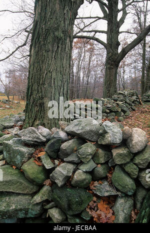 Rockwall, Weir Bauernhof National Historic Site, Connecticut Stockfoto