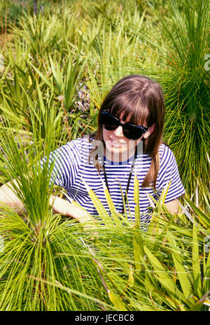 Longleaf Pine und Sägepalme entlang der blauen Weg, die Disney-Wildschutzgebiet, Florida Stockfoto