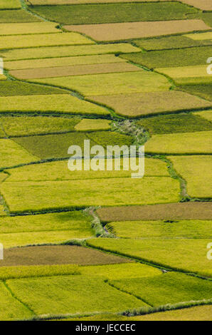 Kreative Muster und Texturen der Reisfelder in Himalaya-region Stockfoto