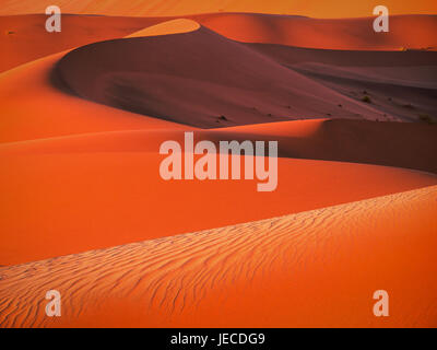 Schöne rote Sanddünen mit natürlichen Textur und geschwungenen Linien in Sossusvlei, Namib-Wüste, Namibia Stockfoto