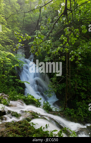 Wasserfall in Jankovac, Papuk Naturpark, Kroatien Stockfoto