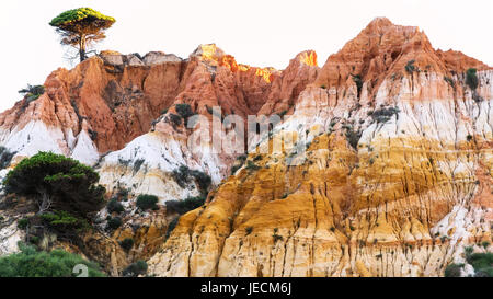 Reisen Sie nach Algarve Portugal - multicolor Sandstein Berg am Strand Praia Falesia in der Nähe von Albufeira Stadt Abend Stockfoto