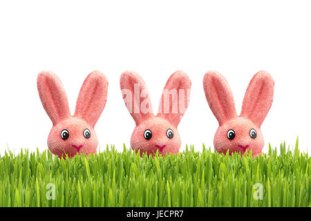 Ostern, Wiese, Osterhase, Pink, [M], Rasen, Osterfest, Ostern, Oster-Deko, Dekoration, Österlich, hell, individuell, Spielzeug, Spielzeug Hase, Hares Zeichen, Zeichen, Hasen, Leverets, Three, rosa, Ostern Leverets, Märchenfiguren, Versteck, heimlich, erscheint, Plays nebeneinander, sofort, süß, lustig, humor, hört, mithören, wachsam beobachten, schüchtern, Ostern Motiv, Saison, Icon, Frühling, Kindheit, Objektfotografie, Kopie-Platz , Stockfoto