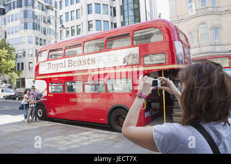 England, London, Urlaub Snap vor Doppeldecker-Bus route Masterbus, Stadt, Foto, Familie, Tourist, Familienfoto, Bus, rot, Urlaub, Doppeldecker-Bus, Attraktion, Stockfoto