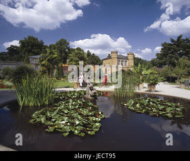 Deutschland, Baden-Würtemberg, Karlsruhe, Botanischer Garten, Seerosenteich, Stadt, Gebäude, Garten, Reiseziel, Teich, Wasser, Lilien, Besucher, Pflanzen, Sommer, draußen, Menschen, Stockfoto