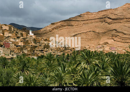 Marokko, Tafraoute, lokale Ansicht, Palmenhain, Afrika, Nordafrika, Berge, Berglandschaft, Faltengebirge, Bergdorf, Gebäude, Häuser, Architektur, Turm, Felsen, felsig, Vegetation, Wohnhäuser, Palmen, Stockfoto