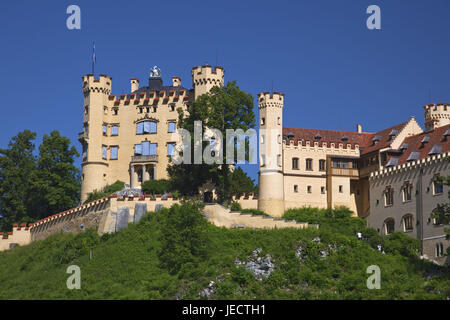 Sperren Sie hohe Schwan Region, Swans Region, mit Füßen, Allgäu, Bayern, Deutschland, Stockfoto