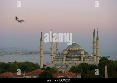 Türkei, Istanbul, sultan's Ahmed Moschee, blaue Moschee in der Morgendämmerung, Stockfoto