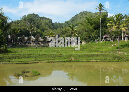 Indonesien, Sulawesi, das Dorf Ke'te Kesu, Stockfoto