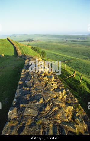 Großbritannien, England, Houesteads, Hadrian Damm, Landschaft, Europa, Ausgrabungen, Sehenswürdigkeiten, Stadtmauer, Reste der Stadtmauer, Ruine, Hügellandschaft, Stein Mauer, Kultur, historisch, Breite, Abstand, Blick, menschenleer, Morgenlicht, Stockfoto