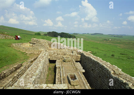 Großbritannien, England, Houesteads, Hadrian Damm, Landschaft, Tourismus, Europa, Ausgrabungen, Sehenswürdigkeiten, Stadtmauer, Reste der Stadtmauer, Ruine, Hügellandschaft, Stein Mauer, Kultur, historisch, Breite, Abstand, Ansicht, Person, Stockfoto