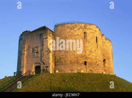 Großbritannien, England, Yorkshire, York, Clifford Tower, Europa, Ziel, Ort von Interesse, Gebäude, Struktur, Architektur, historisch, Kultur, Hügel, abends Licht, Treppen, Festung, menschenleer, Wiese, Gänse, Mauern, defensive Anlage Stockfoto