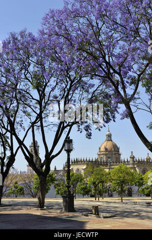 Spanien, Andalusien, Provinz Cadiz, Jerez De La Frontera, Touristen auf die Alameda Vieja im Hintergrund die Kathedrale, Stockfoto