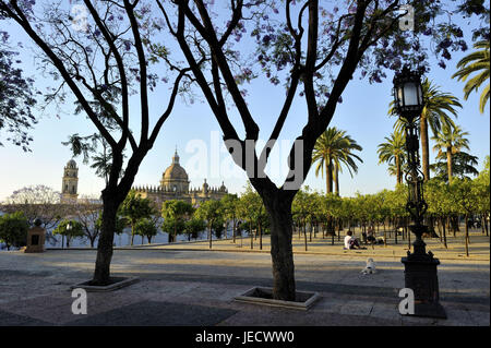 Spanien, Andalusien, Provinz Cadiz, Jerez De La Frontera, Touristen auf die Alameda Vieja, Stockfoto