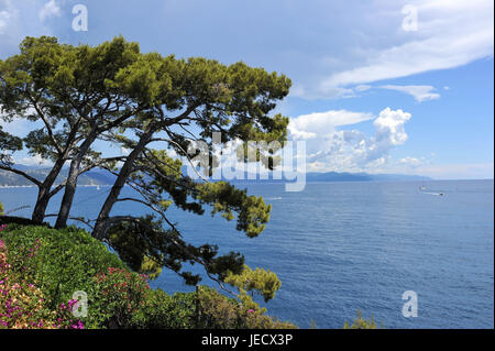 Italien, Ligurien, Riviera di Levante, Blick auf das Meer, Stockfoto