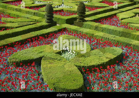 Frankreich, Schloss Villandry, Schloss-Garten, Stockfoto