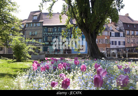 Frankreich, Elsass, Colmar, klein Venedig, Stockfoto