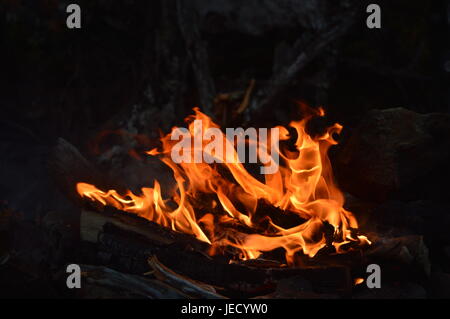 Feuer an einem kalten Oktober Morgen Stockfoto