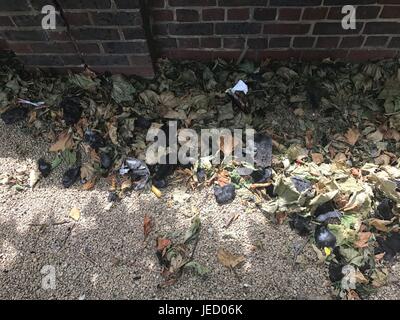 Verkohlte Trümmer aus dem Grenfell Turm Feuer in West London links auf dem Boden liegen in der näheren Umgebung. Stockfoto