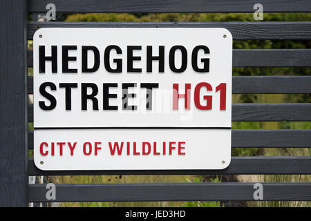 Igel Straßenschild auf einem kleinen Anzeigen Gartenzaun in RHS Harlow Carr Gärten, Harrogate UK Stockfoto