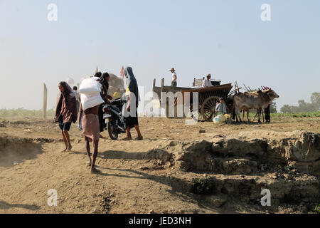 Öffentlichen Boot/Irrawaddy-Fluss - Myanmar 23. Januar 2016: Alle waren zum Dorf mit einfachen Cettle Karren transportiert werden. Stockfoto
