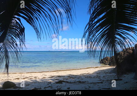 Verlassener Strand der Seychellen Stockfoto