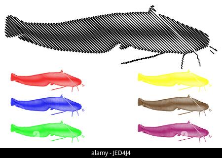 Wels Silhouette Vektor, (Silurus Glanis), Stock Vektor