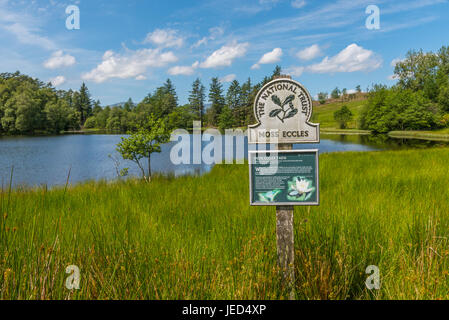 Moos Eccles Tarn in der Nähe von weit Sawrey in South lakeland Stockfoto