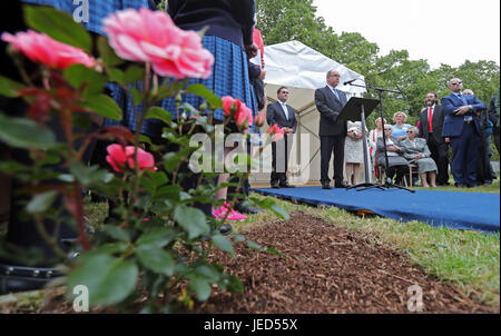 Seine Serene Hoheit Albert II, Prinz von Monaco eröffnet The Princess Grace Rose Garden in St. Dominickâ€™ s Park, während eines Besuchs in Drogheda, County Louth. Stockfoto