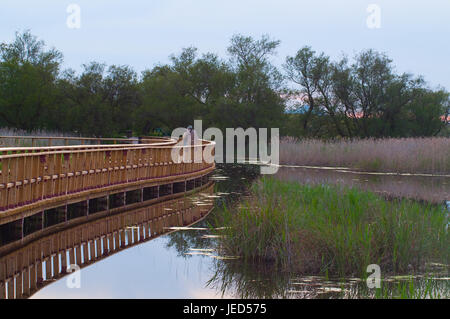 Holzsteg. Tablas de Daimiel National Park in der Provinz Ciudad Real, Castilla La Mancha, Spanien Stockfoto