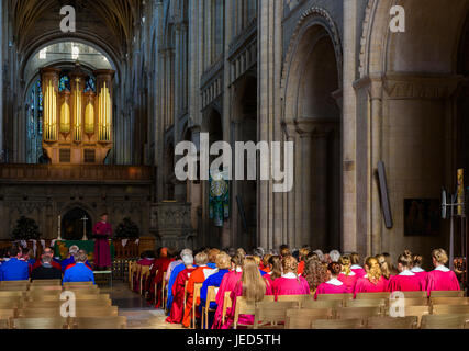 Chorprobe im Kirchenschiff in der Norman gebaut (11. Jahrhundert n. Chr.) christlichen Domkirche in Norwich, Norfolk, England. Stockfoto