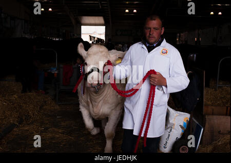 Ingliston, Edinburgh, Schottland, Großbritannien. 24. Juni 2017. Royal Highland Show 2017. Pep Masip/Alamy Live-Nachrichten Stockfoto