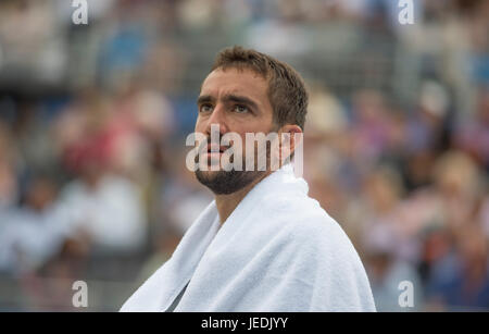 Die Queen's-Club, London, UK. 24. Juni 2017. Tag 6 der 2017 Aegon Championships im West London Club, Halbfinale Centre Court Action mit Gilles Muller (LUX) V Marin Cilic (CRO), mit Cibulkova, wobei das Spiel in 3 Sätzen. Bildnachweis: Malcolm Park / Alamy Live News. Stockfoto